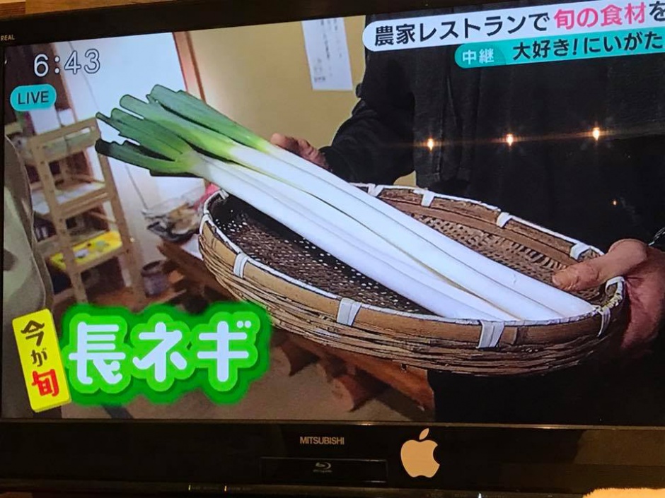 Nstみんなのニュースに生出演 新潟の太田農園が手掛ける農家レストラン 野菜 米粉パン直売 赤塚集楽